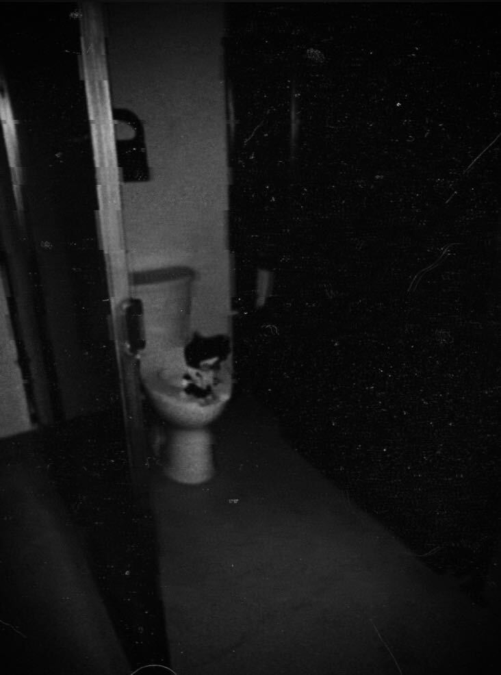 Spamton in distanza su una tavoletta del bagno